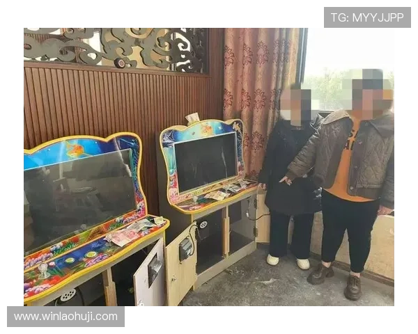 不同地区对赌博老虎机认定标准的差异与执行细节 不同地区对赌博老虎机认定标准的差异与执行细节